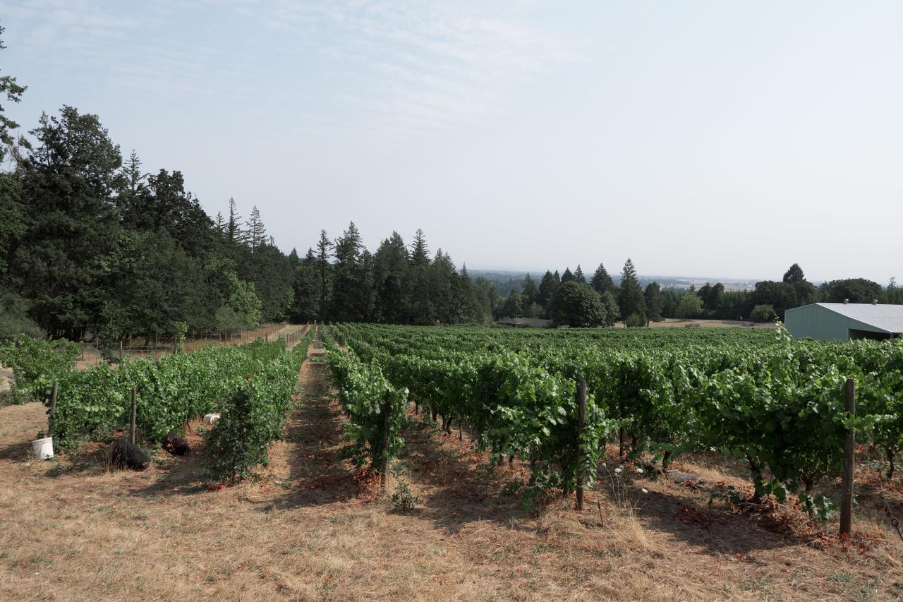 Dreamgiver'S Inn Newberg Luaran gambar